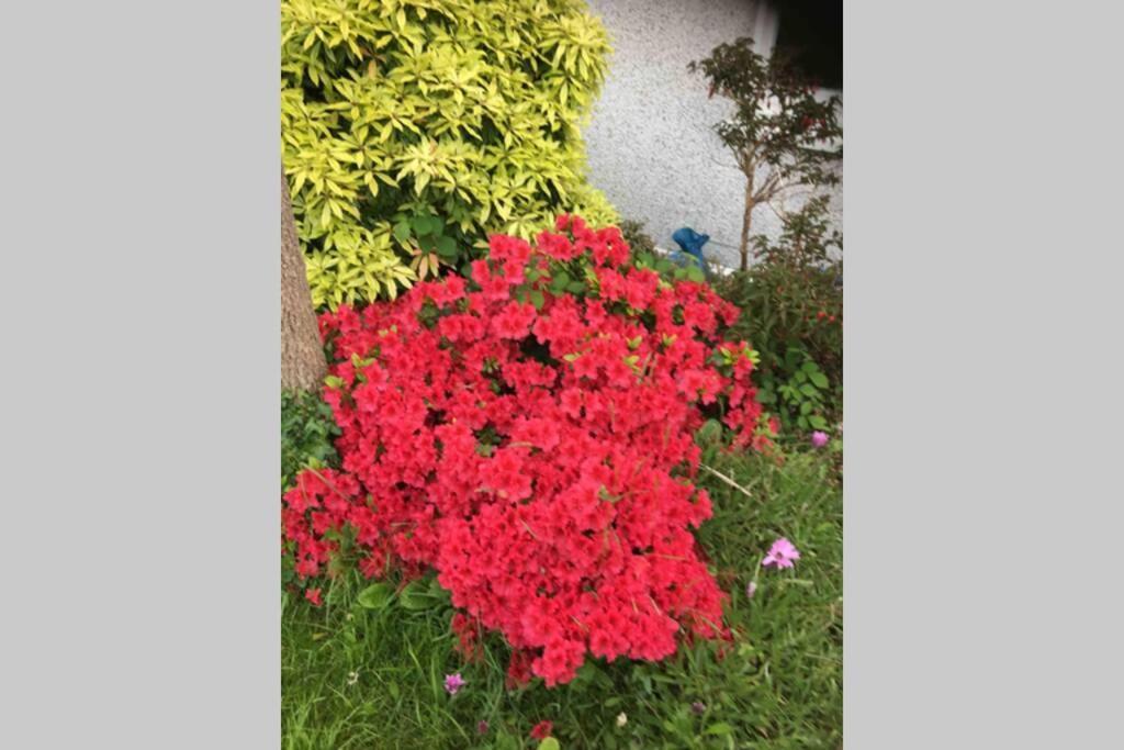 Lovely 3 Bed House Close To Carlyon Bay Beach! Exterior foto